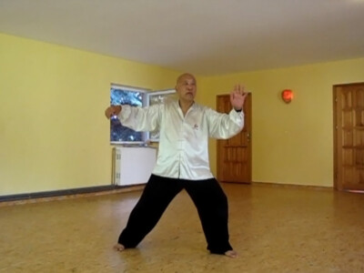 Mistrz Howard Choy, obóz Wu Wei, Nowa Silna